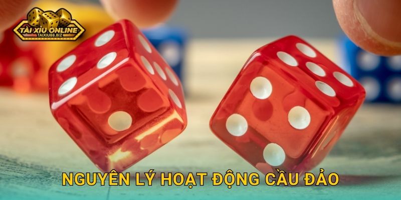 Nguyên lý hoạt động cầu đảo
