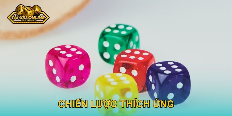 Chiến lược thích ứng