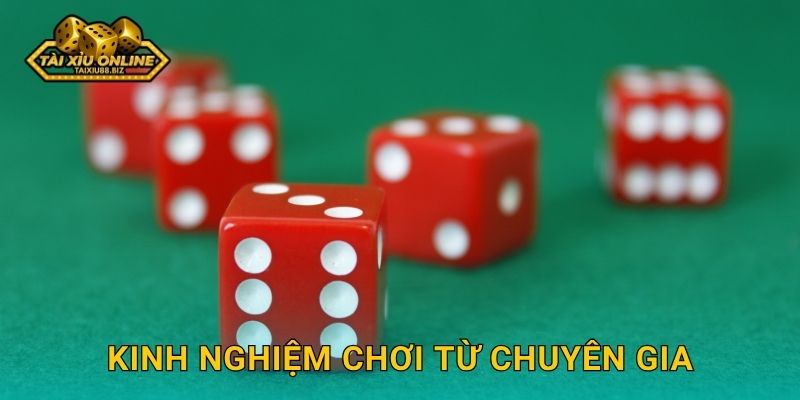 Kinh nghiệm chơi từ chuyên gia