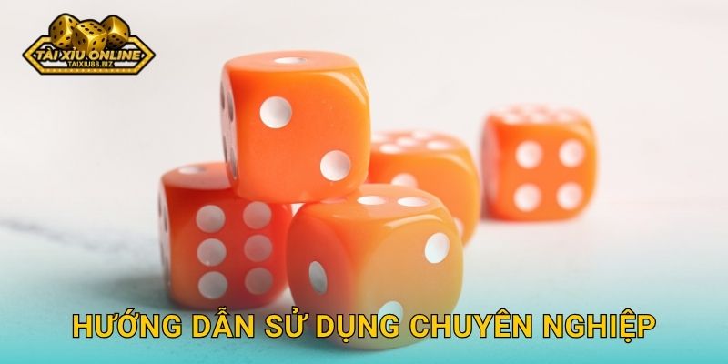 Hướng dẫn sử dụng chuyên nghiệp