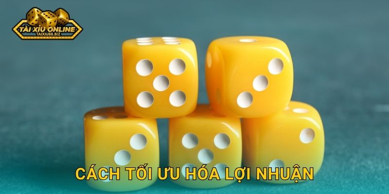 Cách tối ưu hóa lợi nhuận