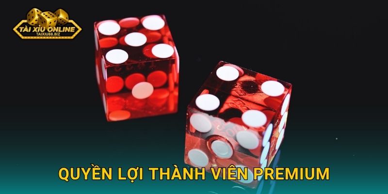 Quyền lợi thành viên Premium