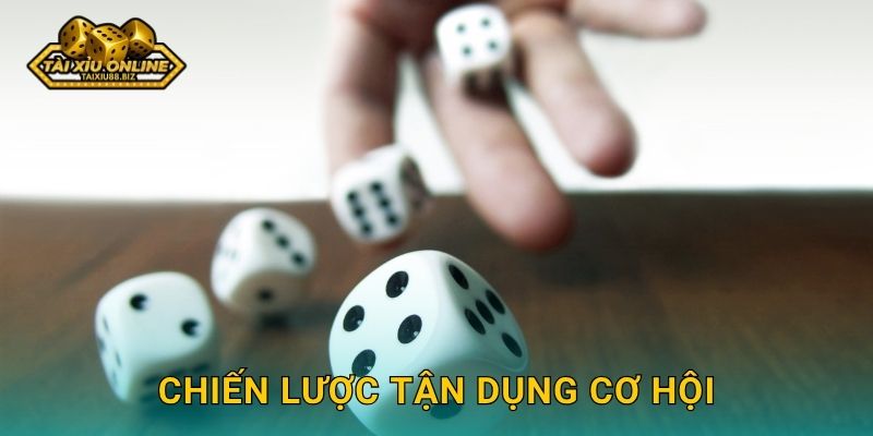 Chiến lược tận dụng cơ hội