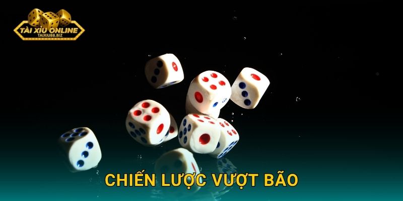 Chiến lược vượt bão